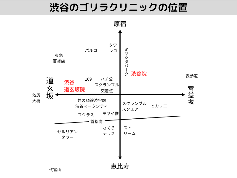 渋谷のゴリラクリニックの大まかな位置